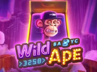 TOTO Winkel screenshot